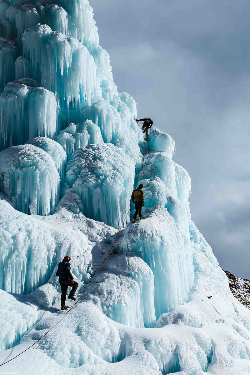 Futuristic Expeditions